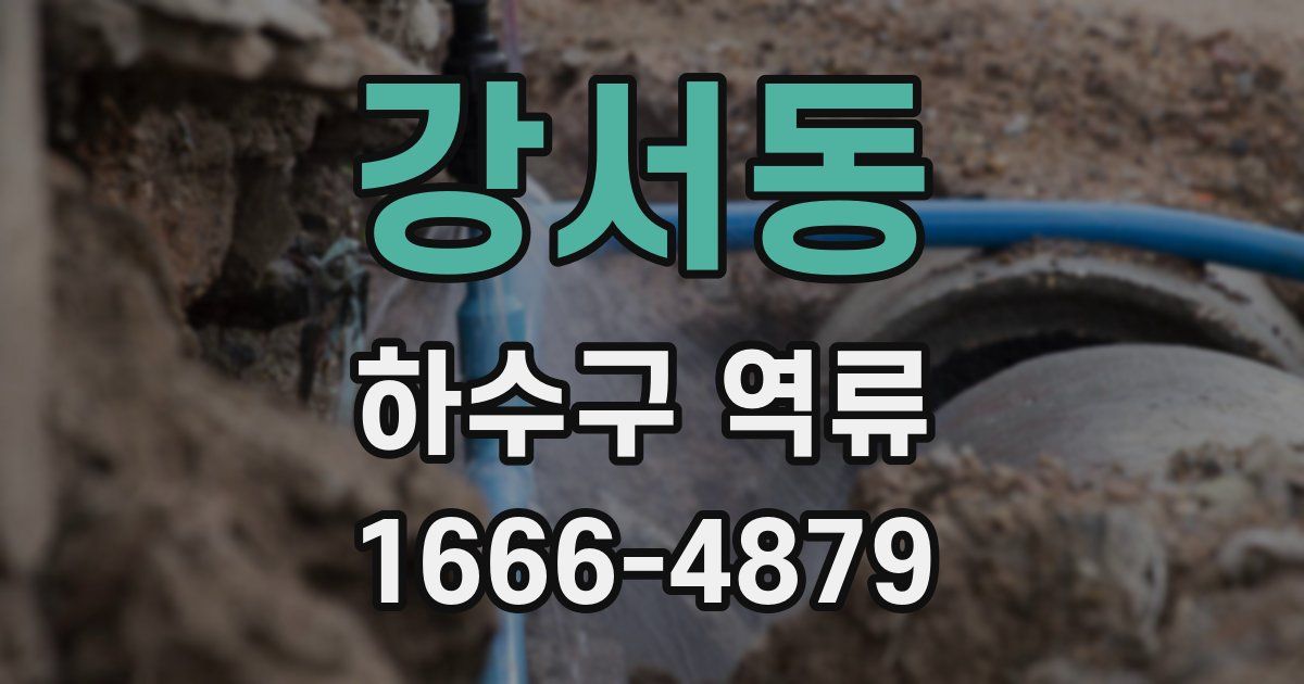 강서동 하수구 역류