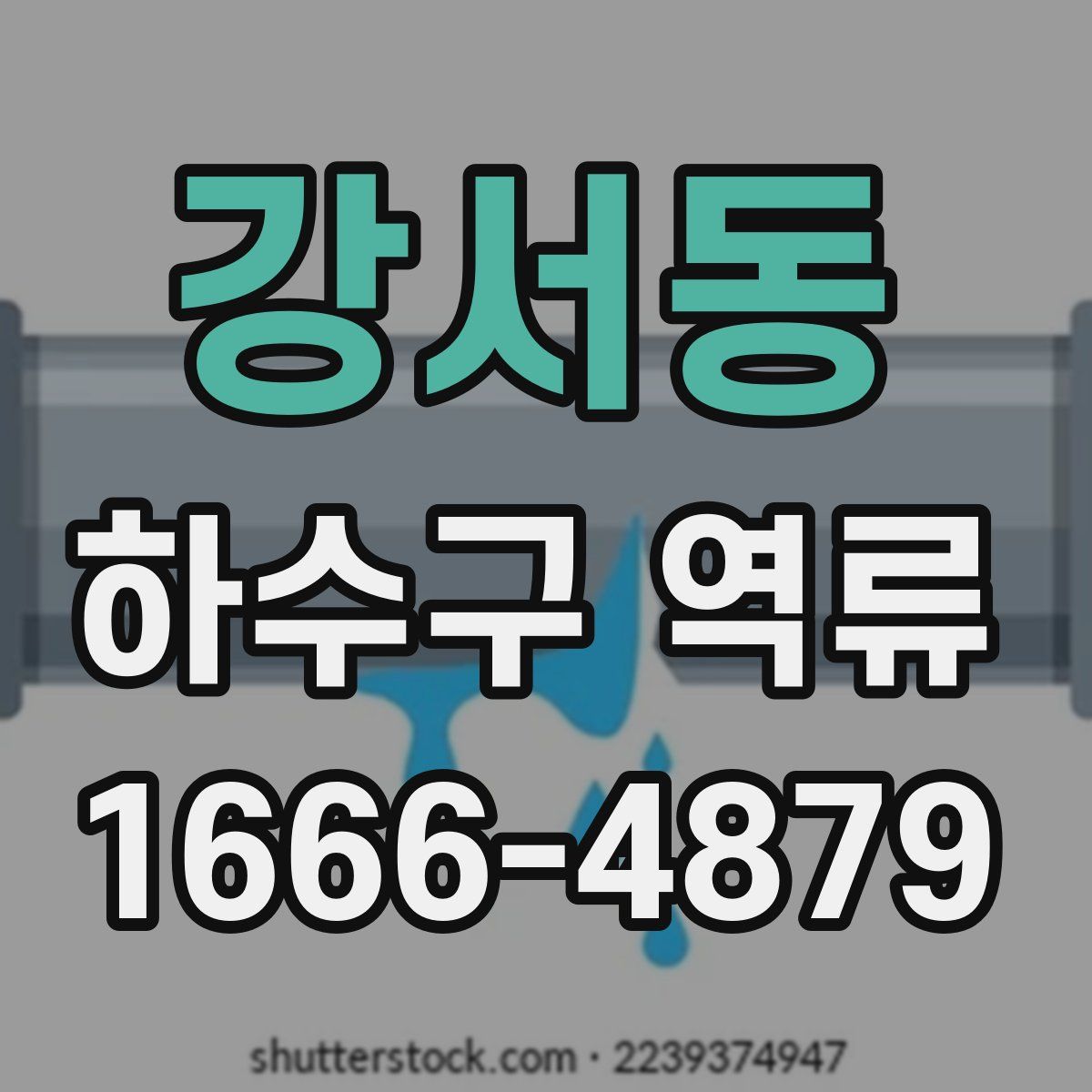 강서동 하수구 역류