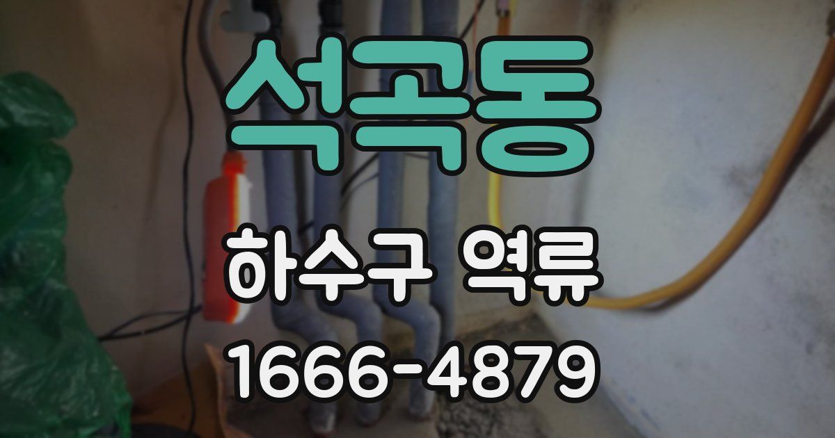 석곡동 하수구 역류