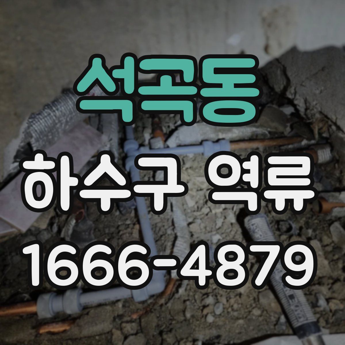 석곡동 하수구 역류