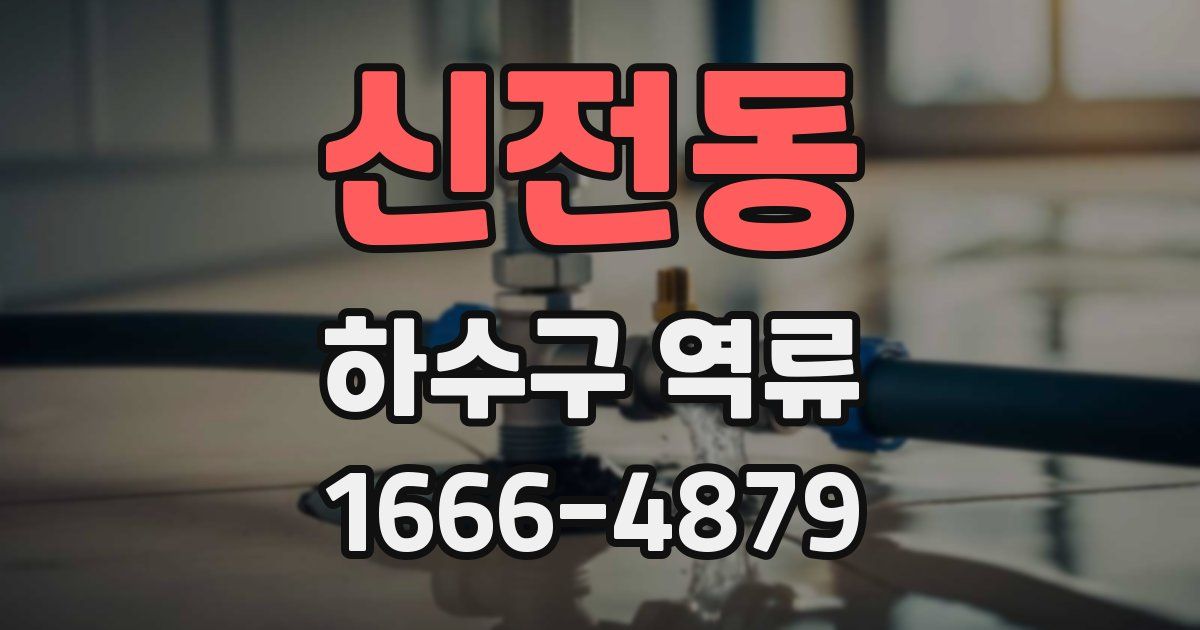 신전동 하수구 역류
