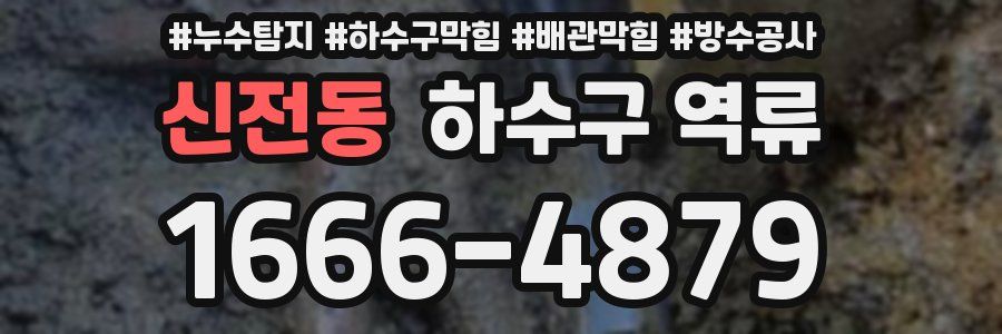 신전동 하수구 역류
