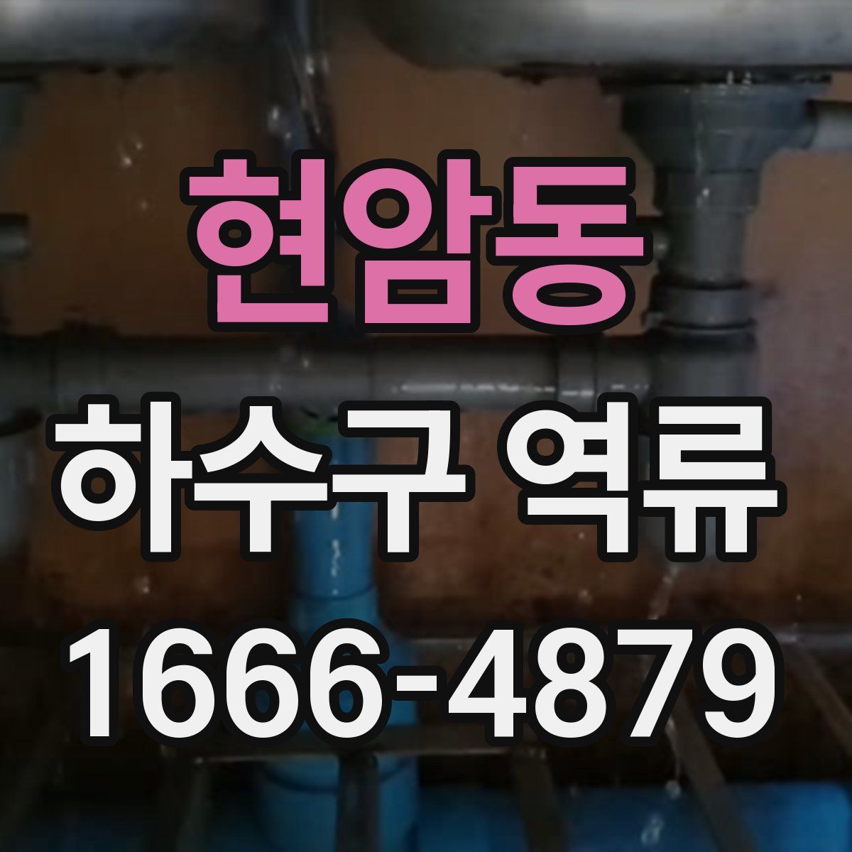 현암동 하수구 역류
