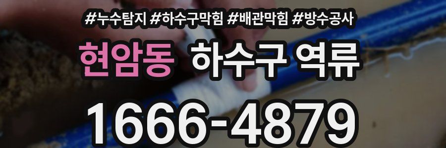 현암동 하수구 역류