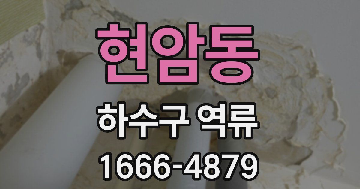 현암동 하수구 역류