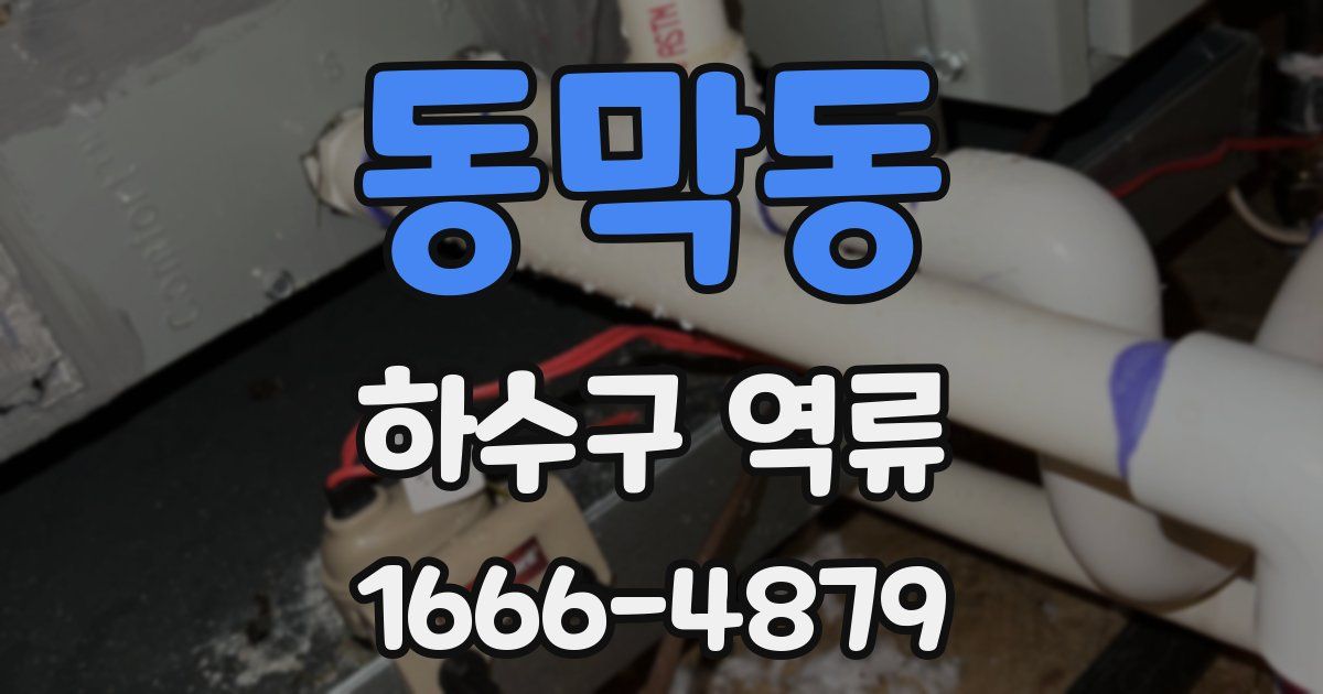 동막동 하수구 역류