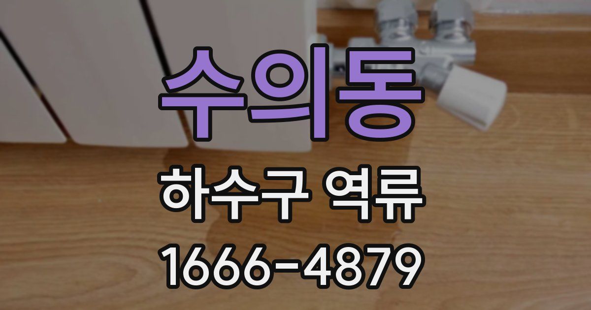 수의동 하수구 역류