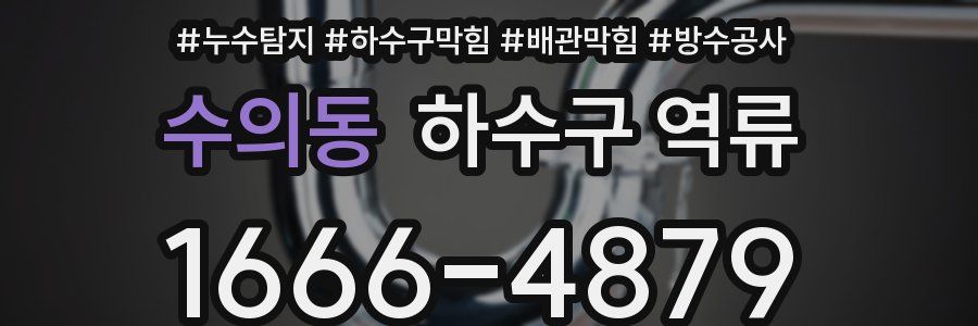 수의동 하수구 역류
