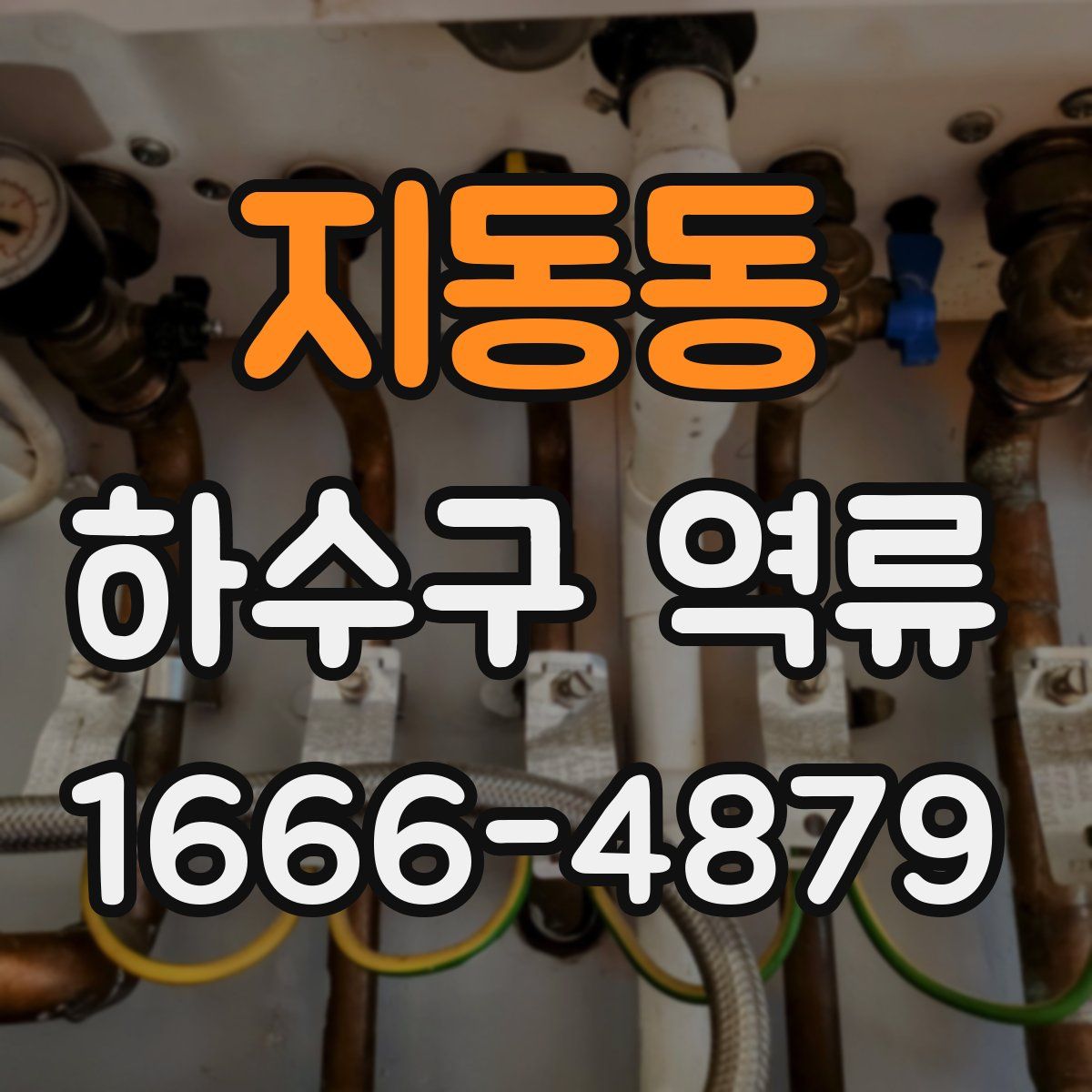 지동동 하수구 역류