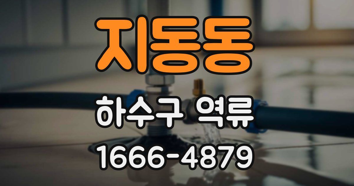 지동동 하수구 역류