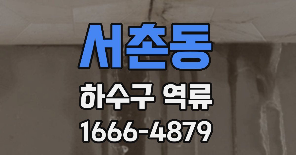 서촌동 하수구 역류