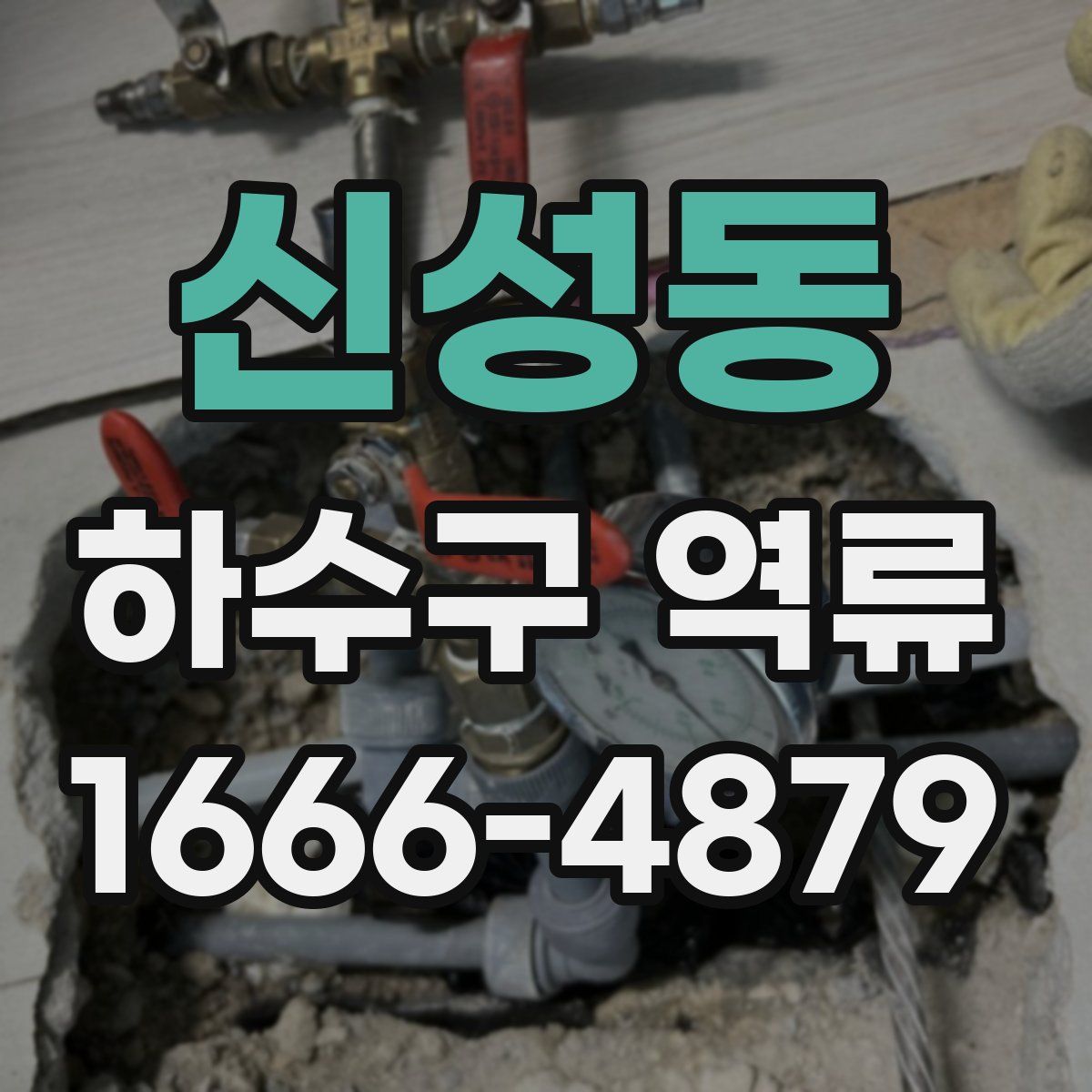 신성동 하수구 역류