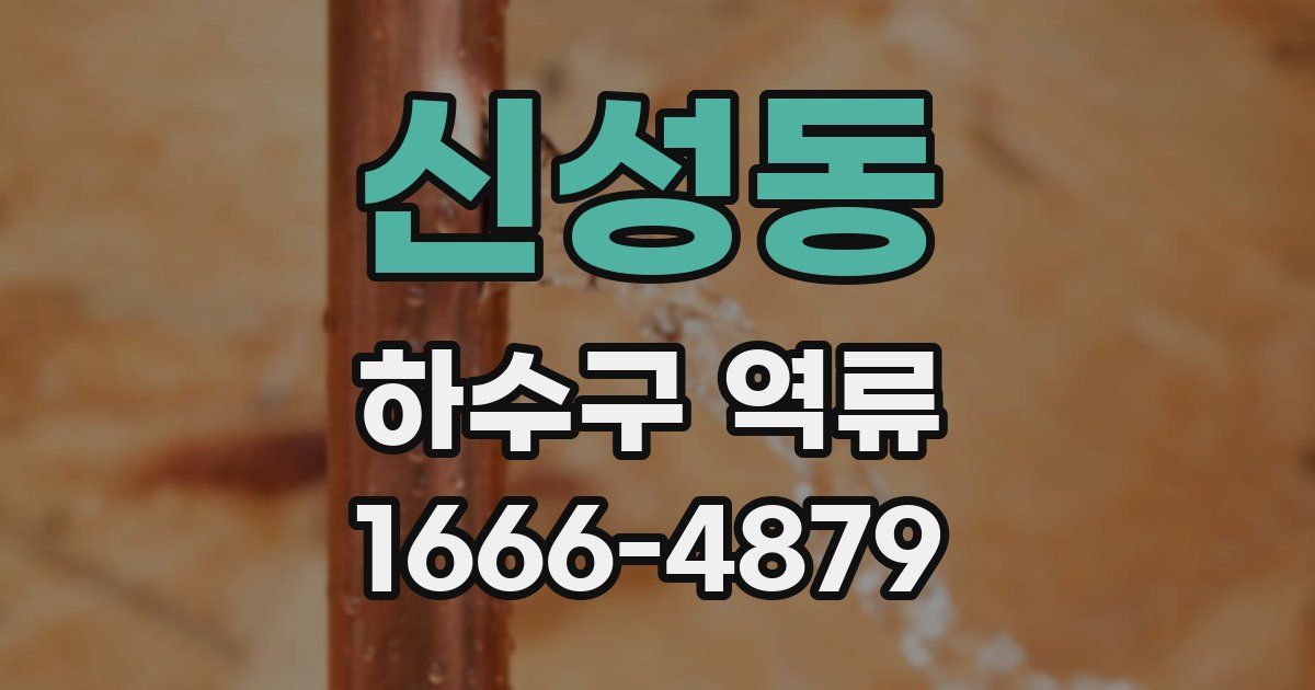 신성동 하수구 역류