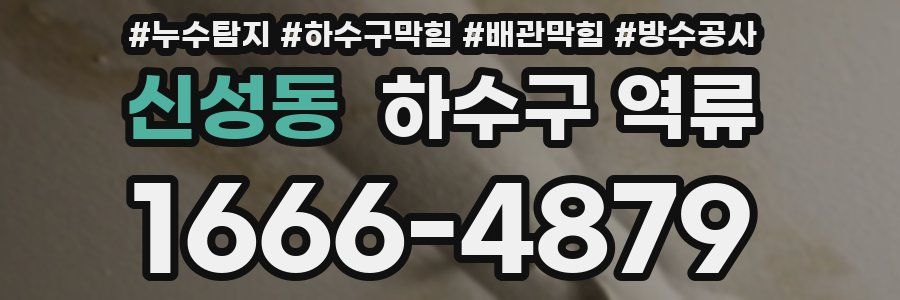 신성동 하수구 역류