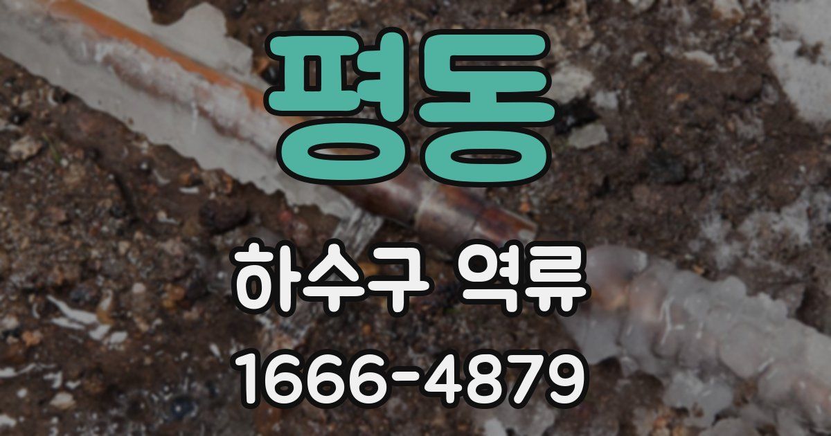 평동 하수구 역류