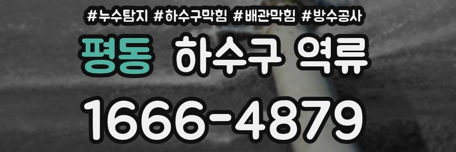 평동 하수구 역류
