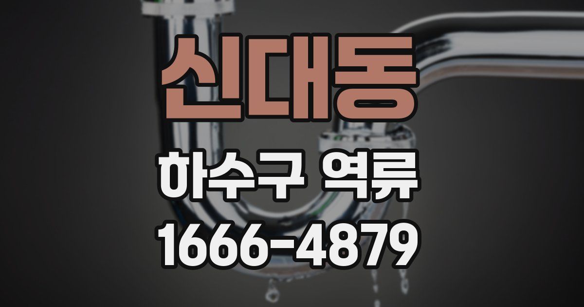 신대동 하수구 역류