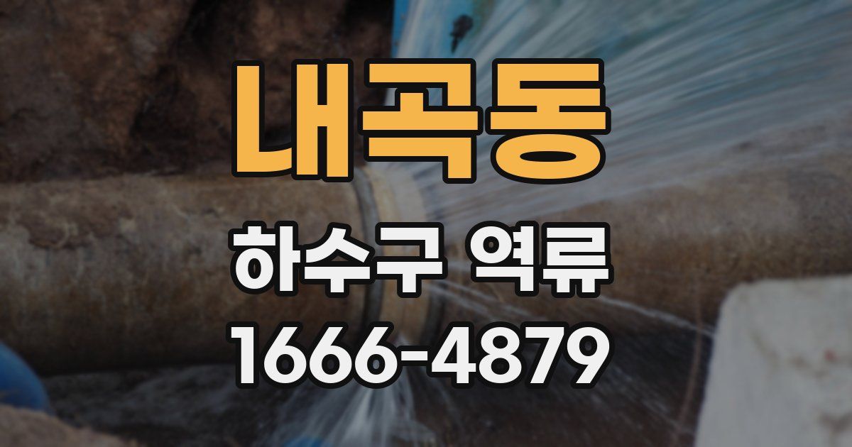 내곡동 하수구 역류