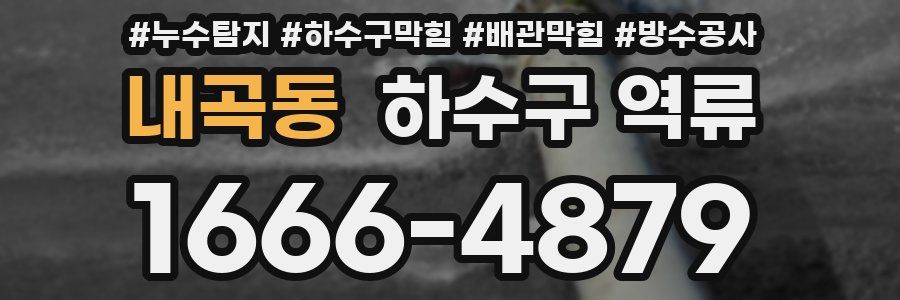 내곡동 하수구 역류
