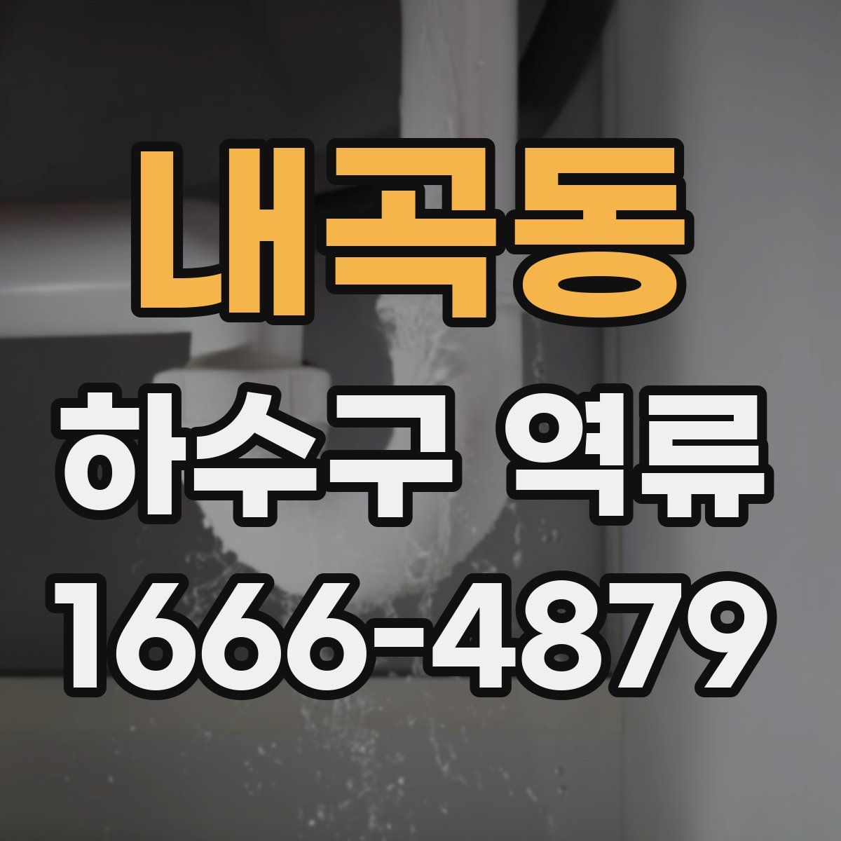 내곡동 하수구 역류