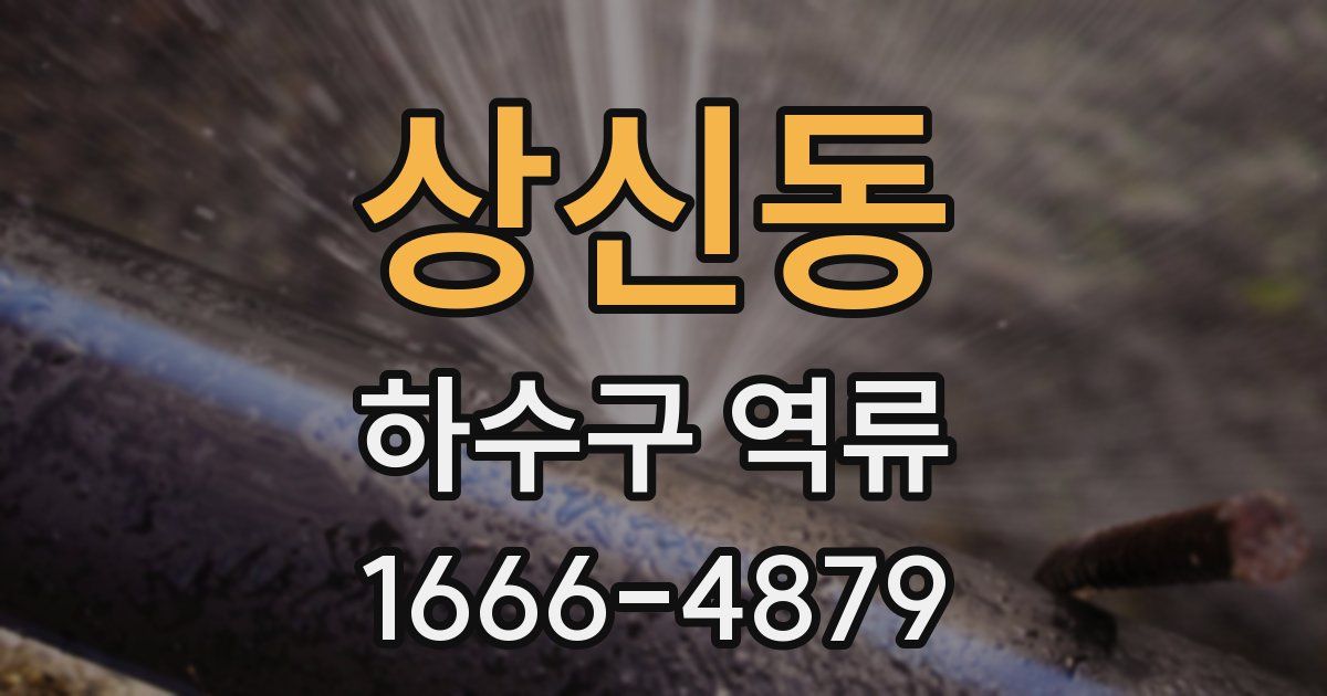 상신동 하수구 역류