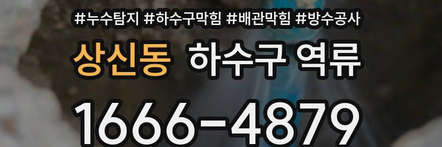 상신동 하수구 역류