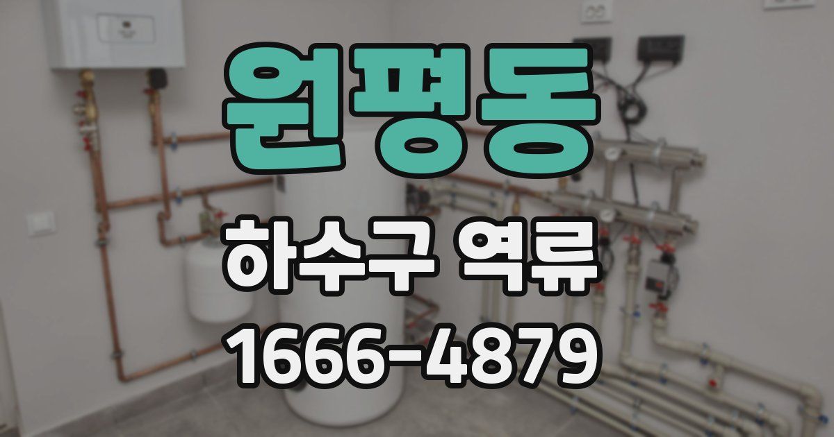 원평동 하수구 역류