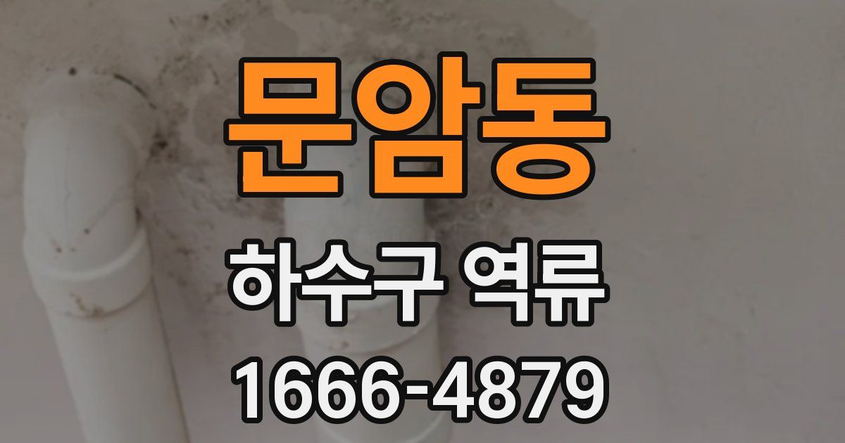 문암동 하수구 역류