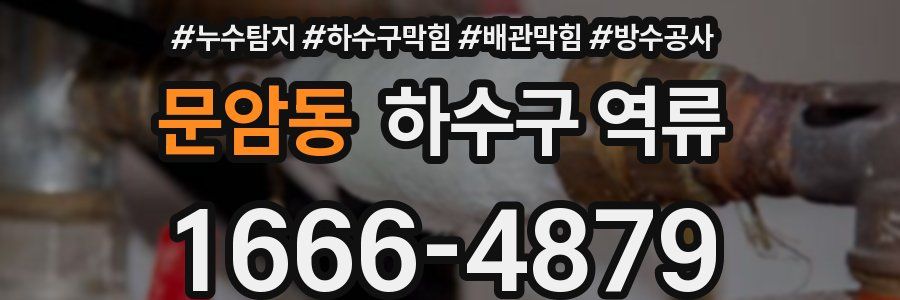 문암동 하수구 역류