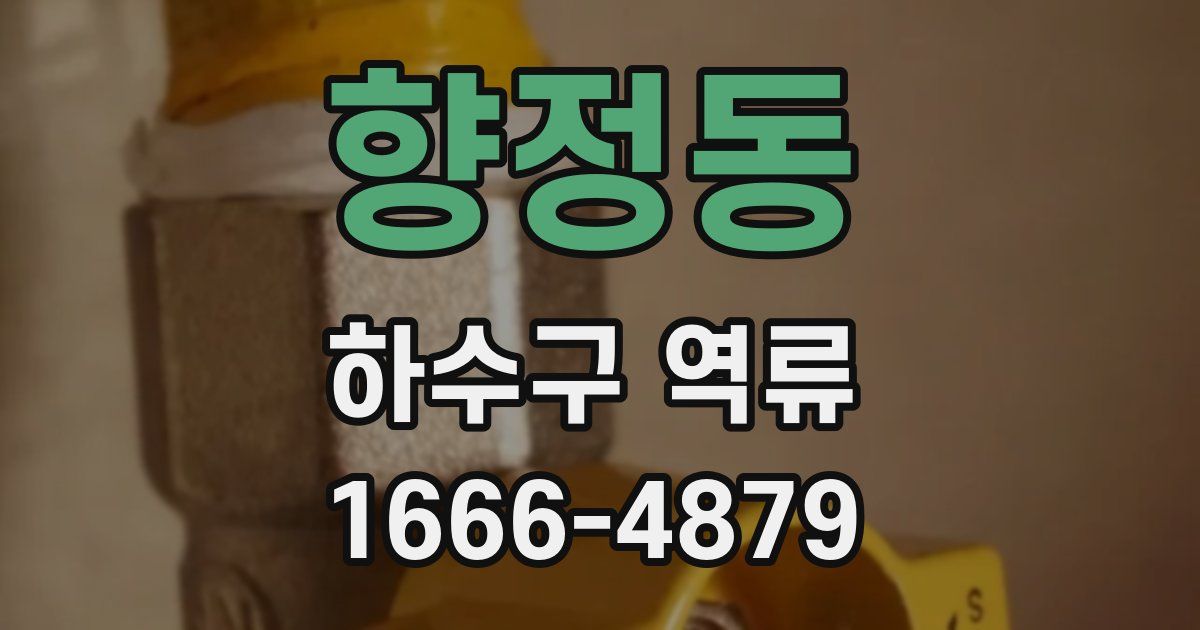 향정동 하수구 역류
