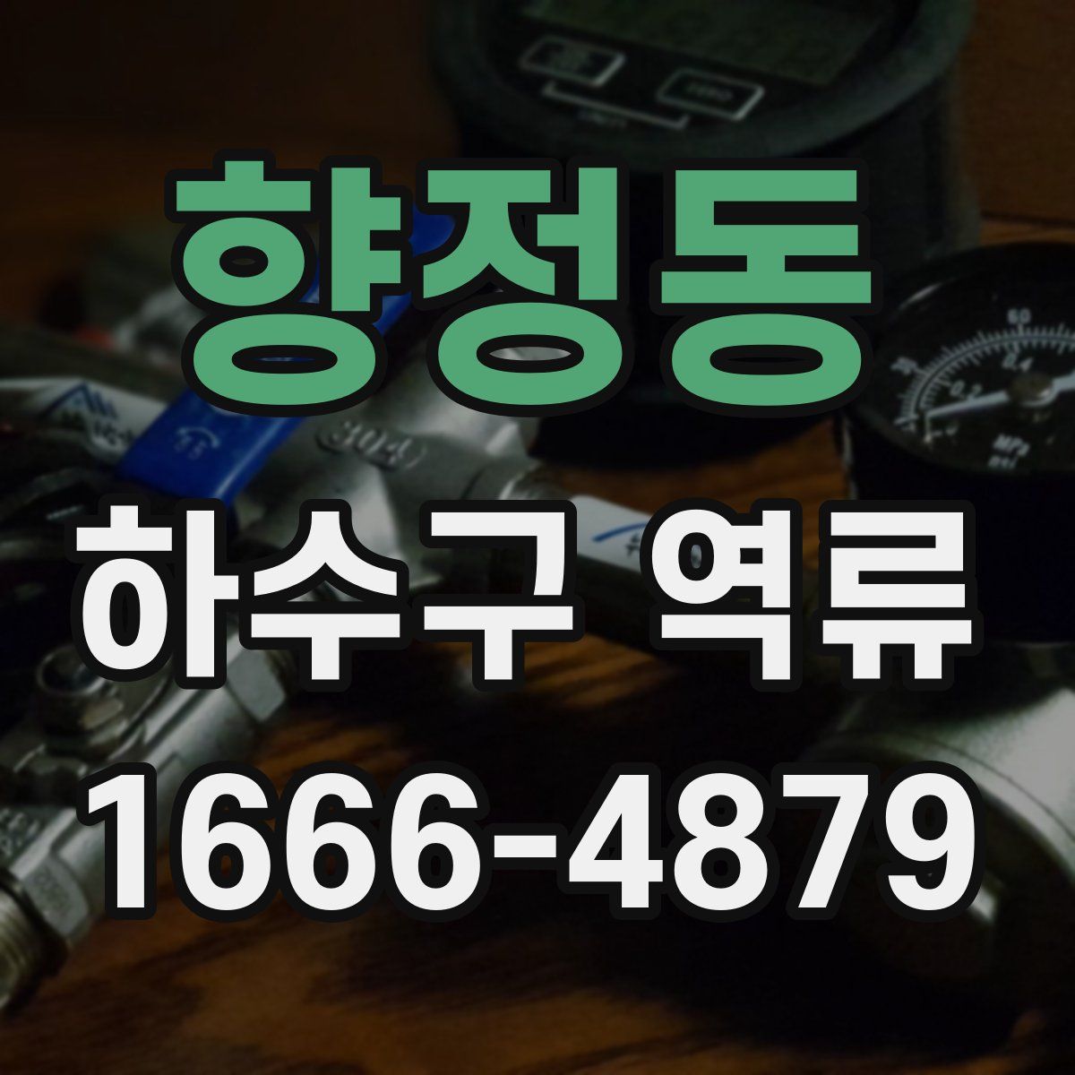 향정동 하수구 역류