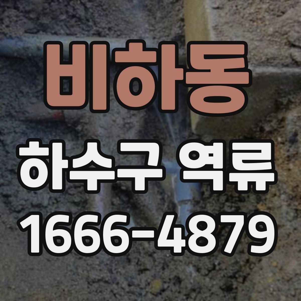비하동 하수구 역류