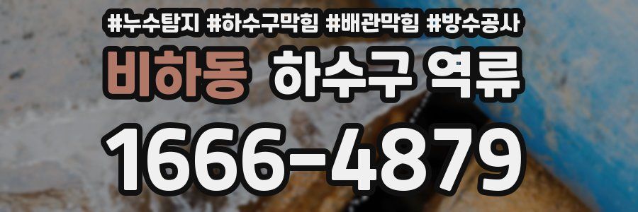 비하동 하수구 역류
