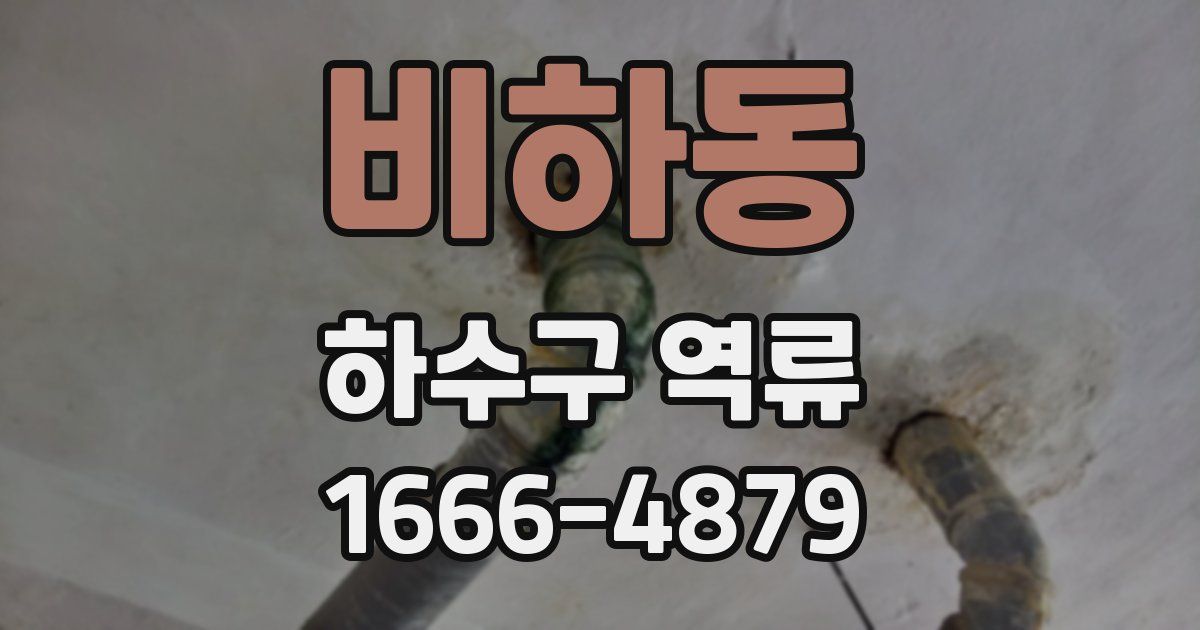 비하동 하수구 역류