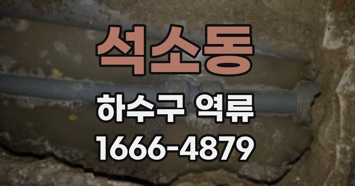 석소동 하수구 역류