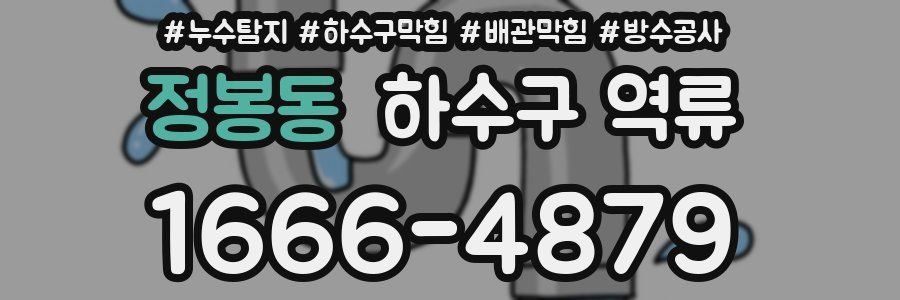 정봉동 하수구 역류