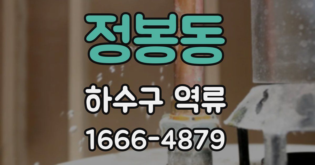 정봉동 하수구 역류
