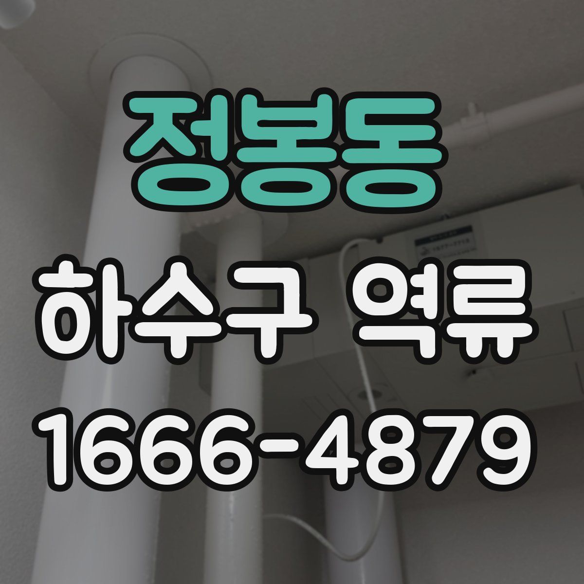 정봉동 하수구 역류