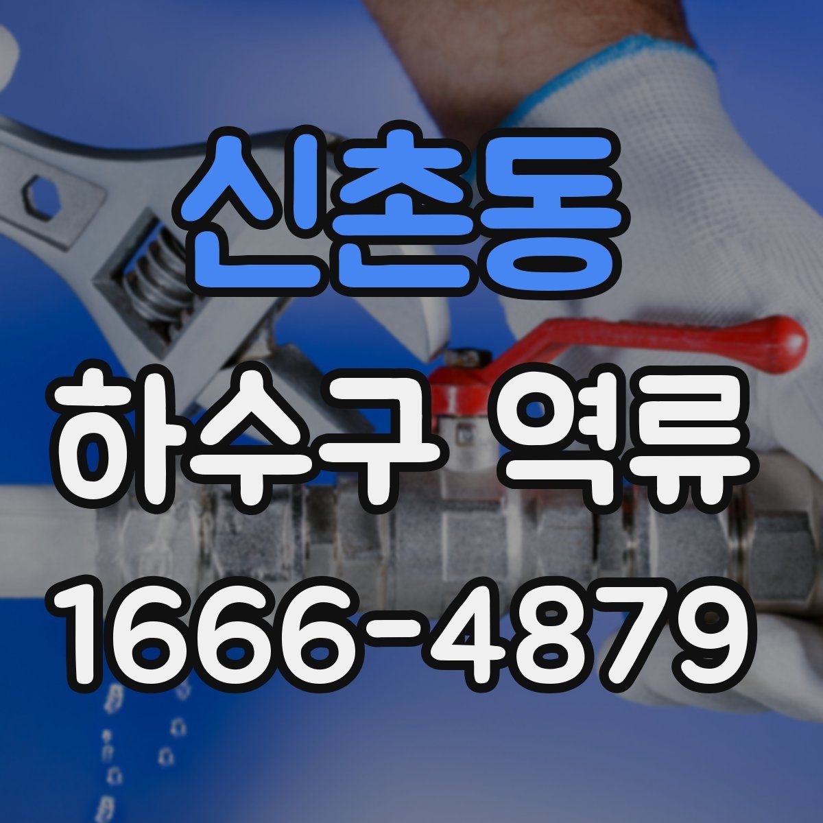 신촌동 하수구 역류