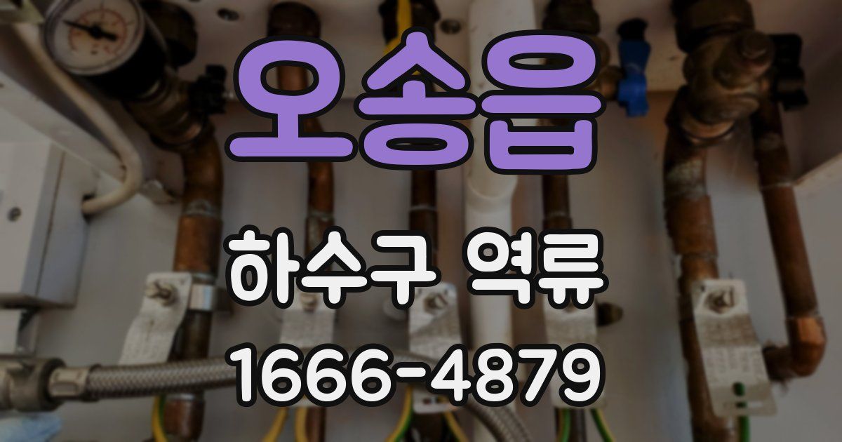 오송읍 하수구 역류