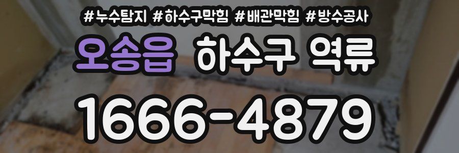 오송읍 하수구 역류