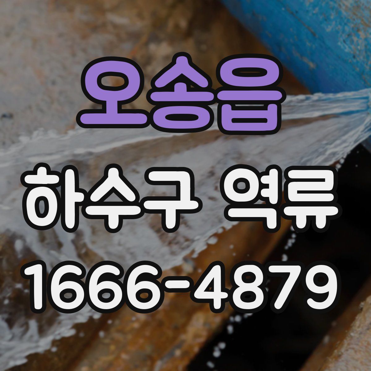 오송읍 하수구 역류