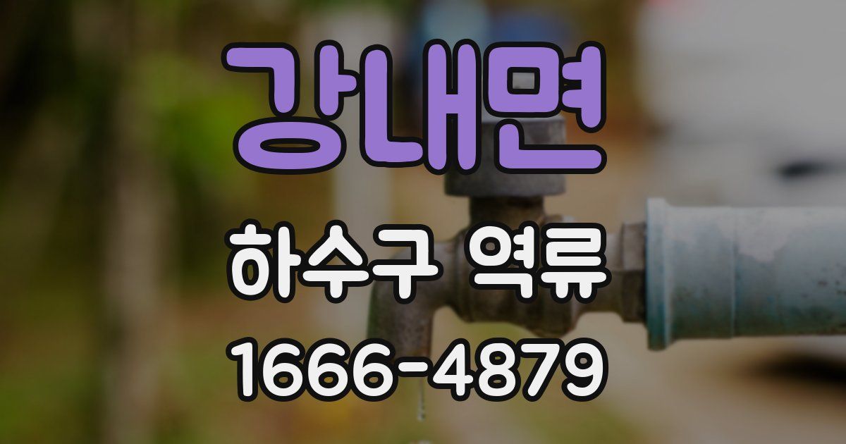 강내면 하수구 역류