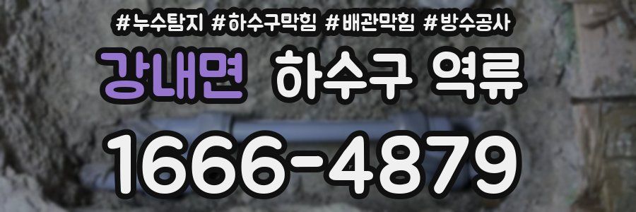 강내면 하수구 역류