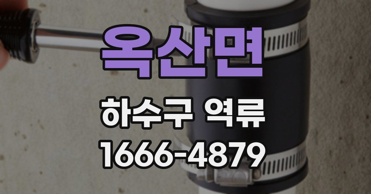 옥산면 하수구 역류