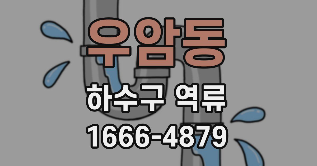 우암동 하수구 역류