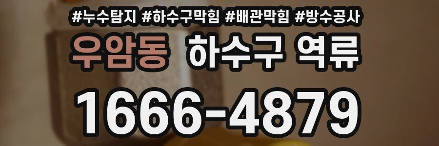 우암동 하수구 역류
