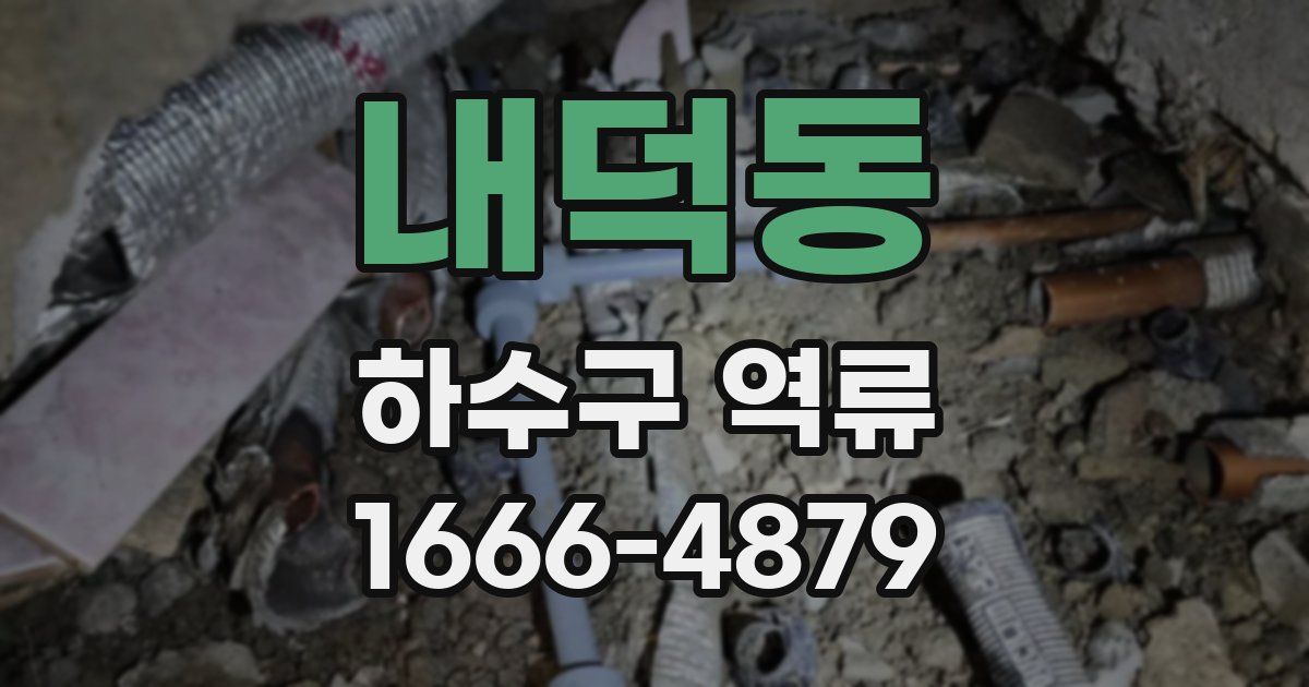 내덕동 하수구 역류