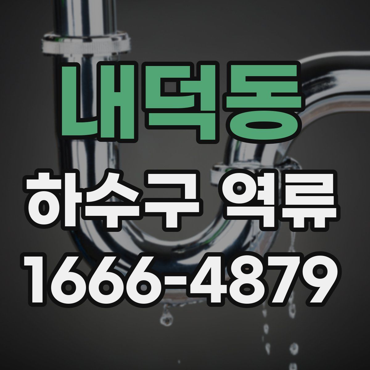내덕동 하수구 역류