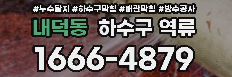 내덕동 하수구 역류